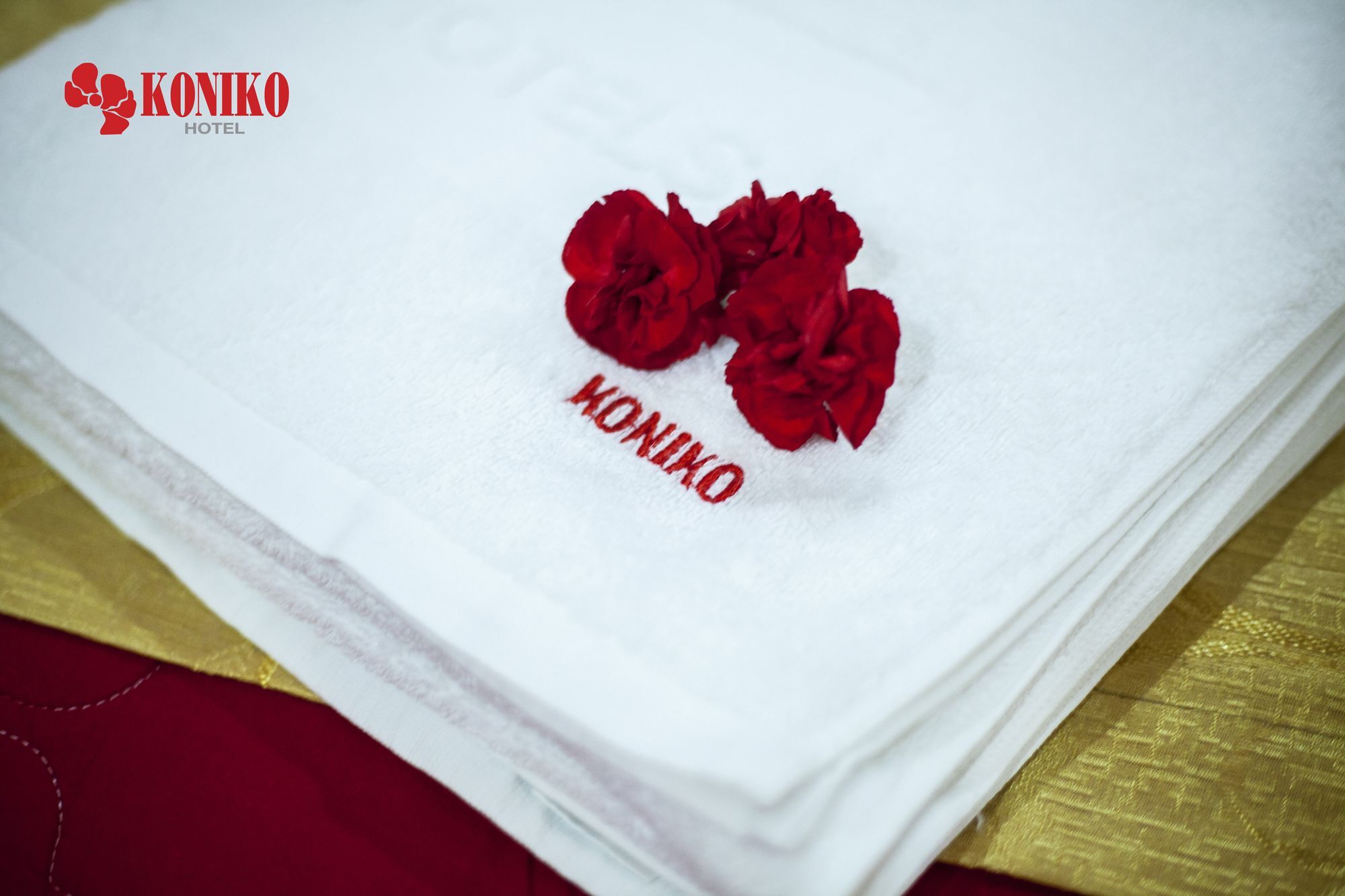 Koniko Hotel Хошимін Екстер'єр фото